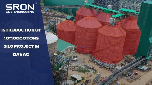 Introduction of 10*10000 Tons Silo Project in Davao